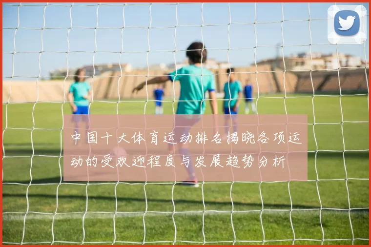 中国十大体育运动排名揭晓各项运动的受欢迎程度与发展趋势分析