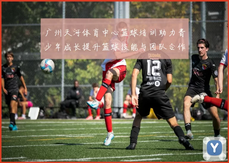 广州天河体育中心篮球培训助力青少年成长提升篮球技能与团队合作精神