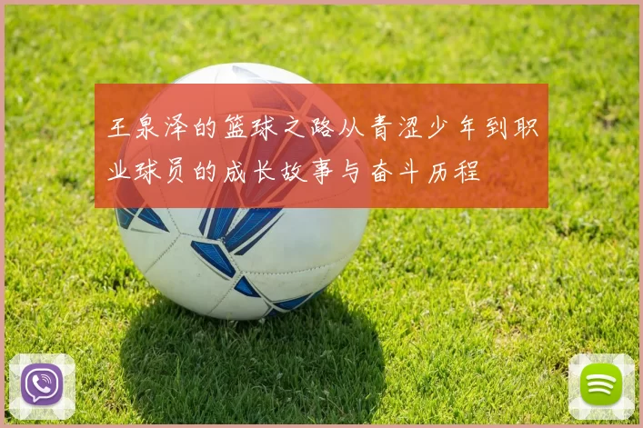王泉泽的篮球之路从青涩少年到职业球员的成长故事与奋斗历程